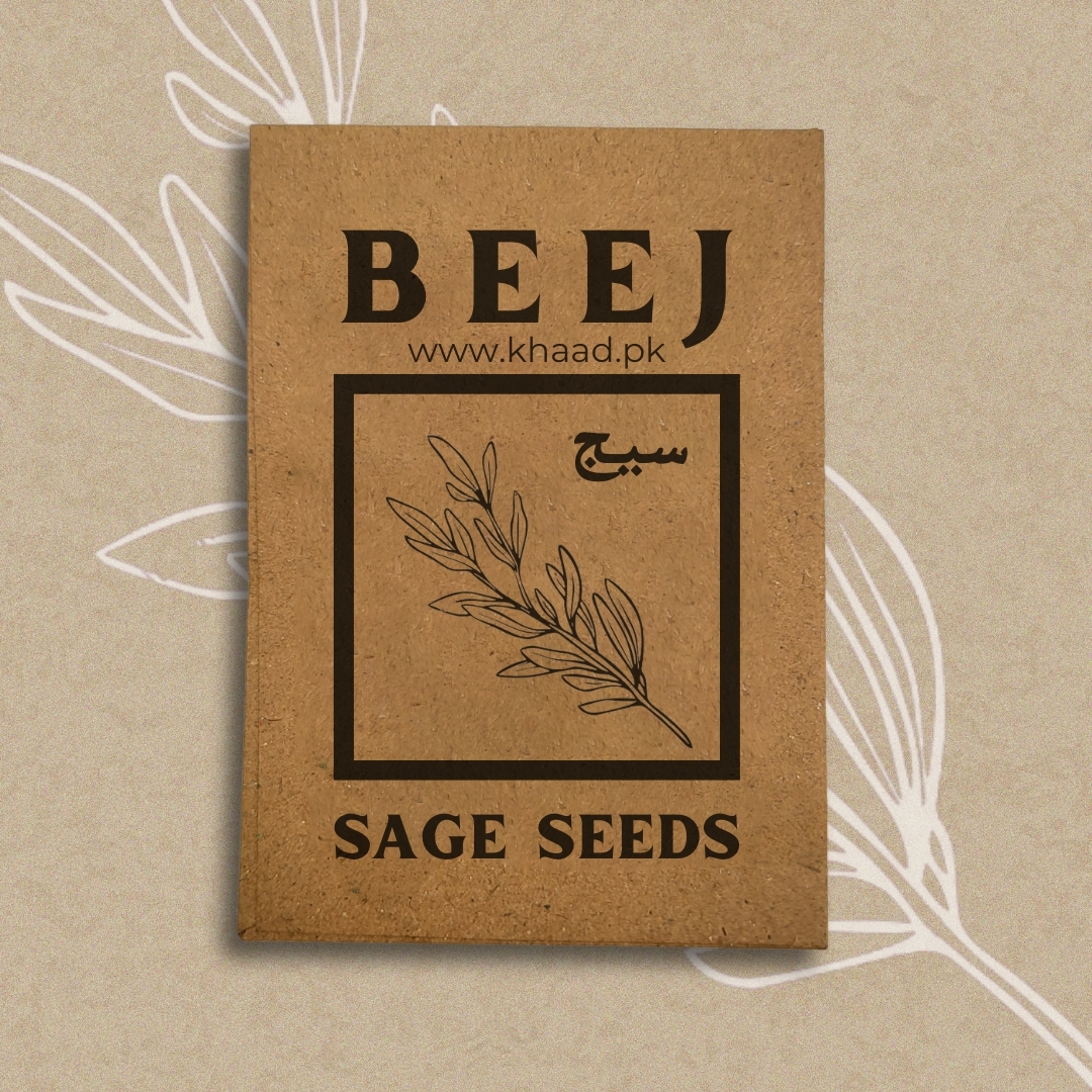 Sage-seeds-fresh-organic-growth-khaadpk