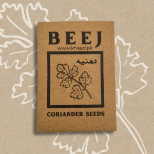Coriander-Seeds-pack-grow-fresh-in-homes