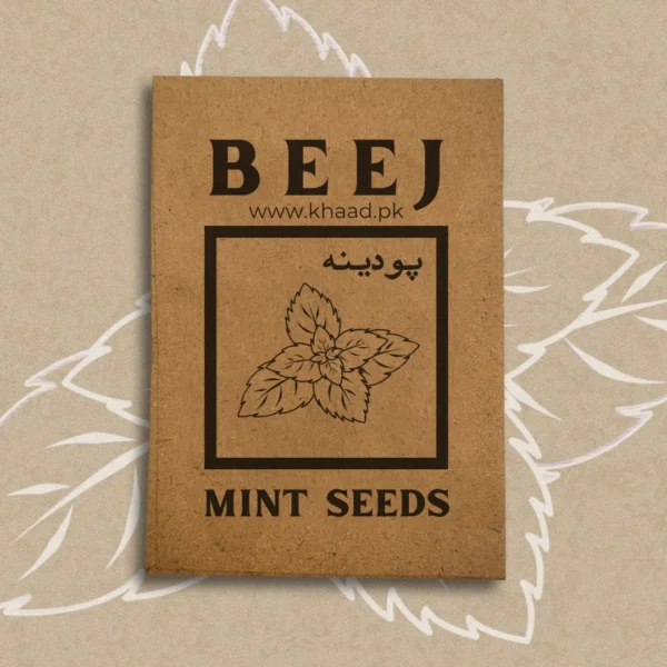 Fresh-mint-seeds-pack-home-grown