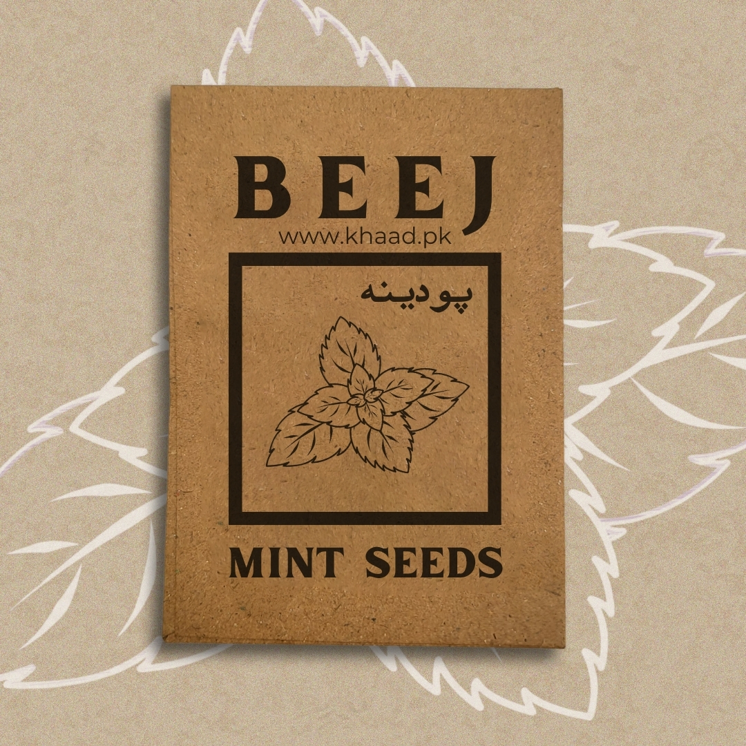 Fresh-mint-seeds-pack-home-grown