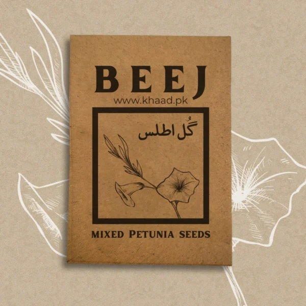 mixed-petunia-seeds-khaadpk-lahore