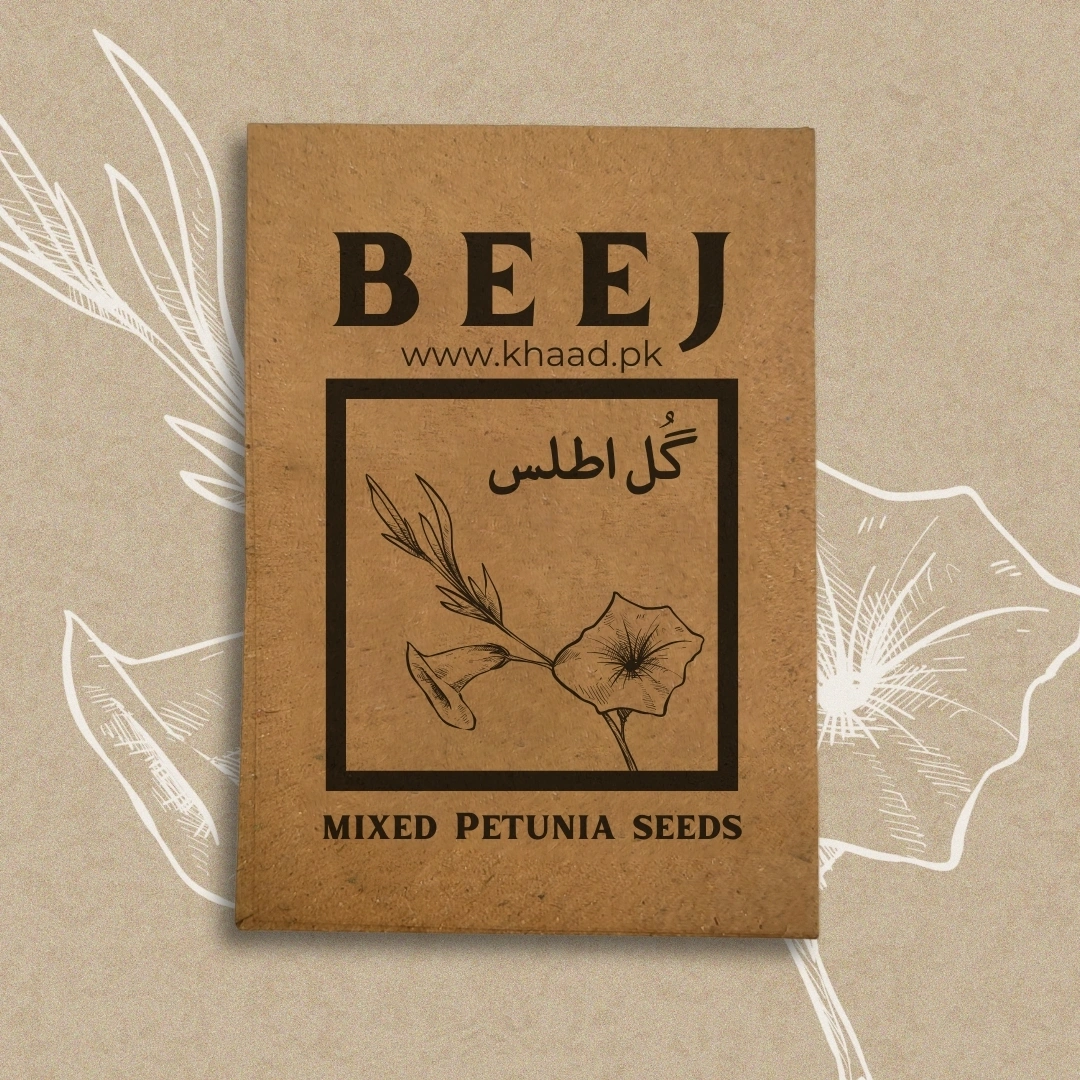mixed-petunia-seeds-khaadpk-lahore