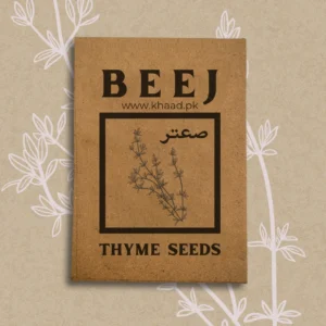 Thyme-seeds-pack-for-home-gardening