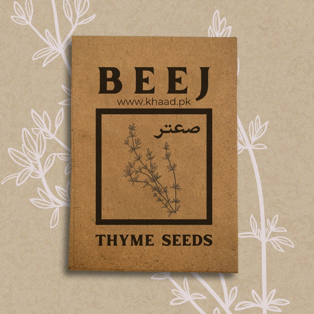 Thyme-seeds-pack-for-home-gardening