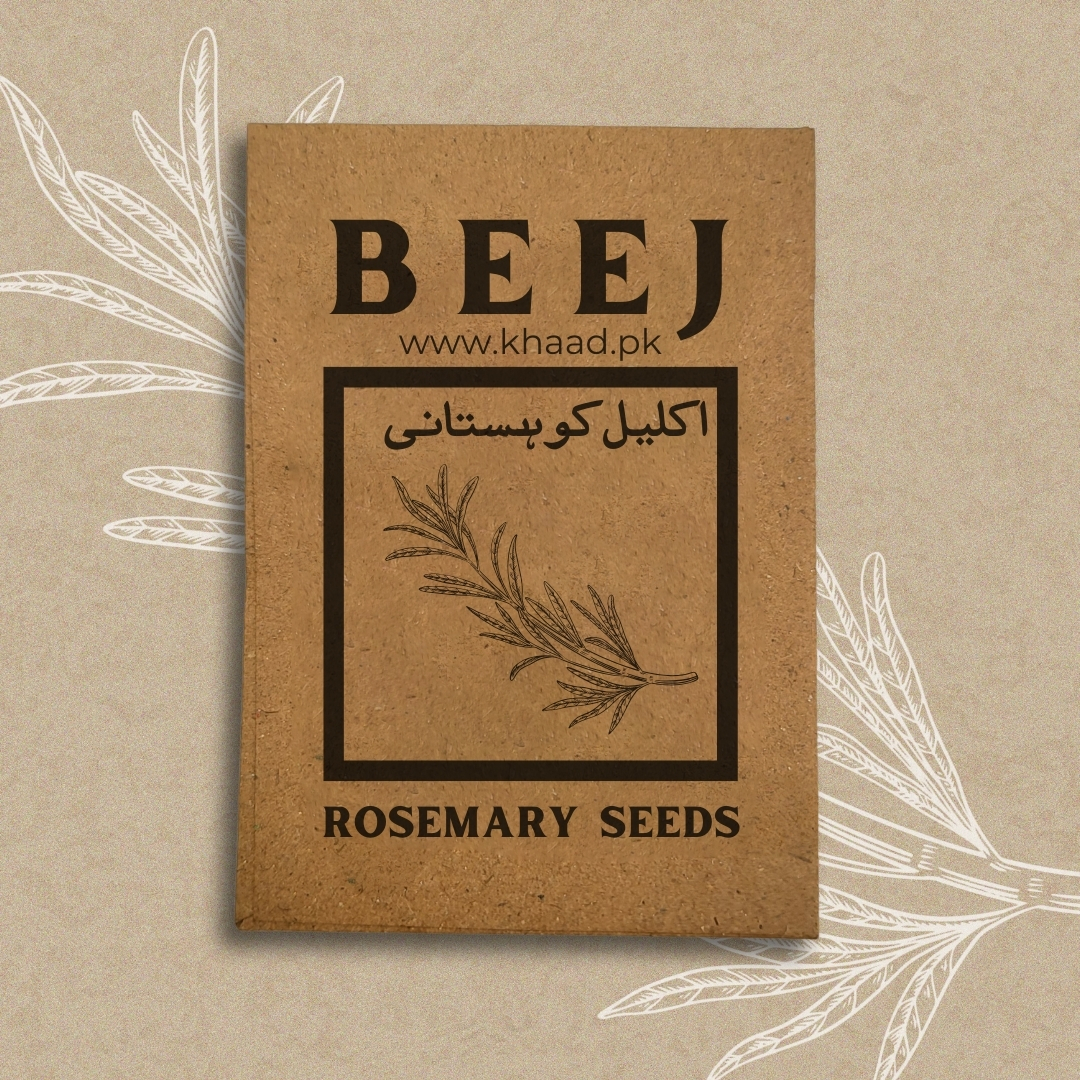 Rosemary-herbs-seeds-for-fresh-growth-organic-products