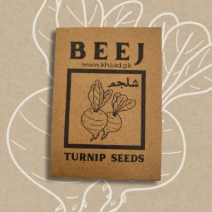 Turnip-seeds-pack-buy-online-in-lahore