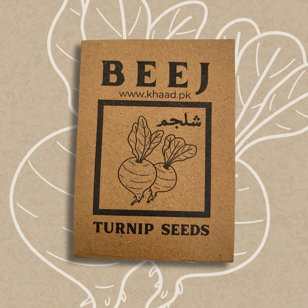 Turnip-seeds-pack-buy-online-in-lahore
