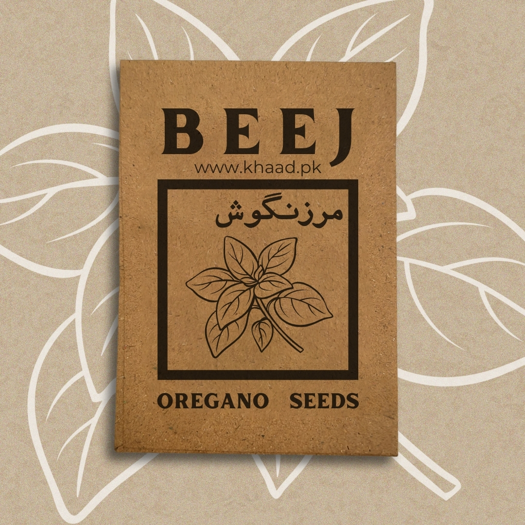 Oregano-Seeds-pack-for-home-gardening