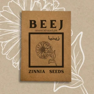 Zinnia-Seeds-Pack-by-khaadpakistan-lahore