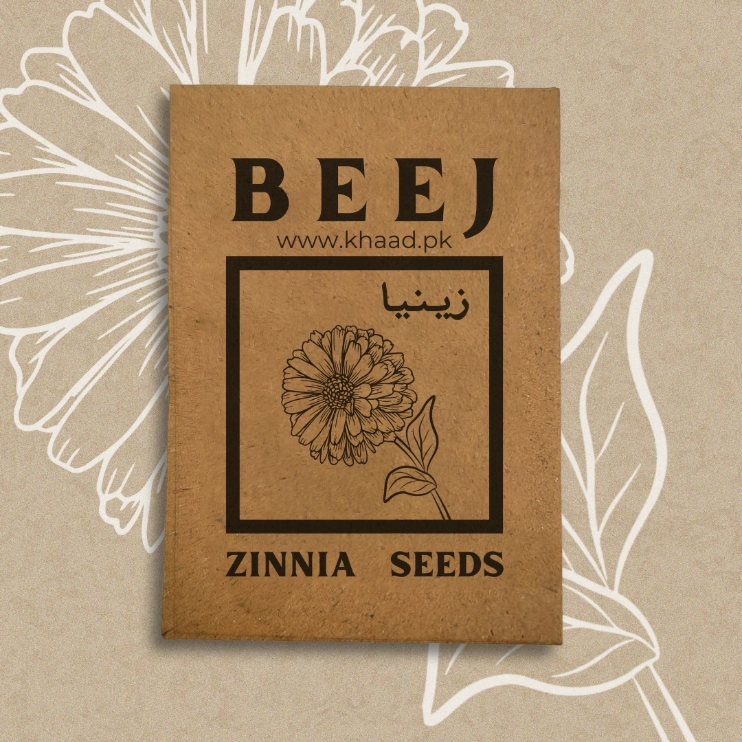 Zinnia-Seeds-Pack-by-khaadpakistan-lahore