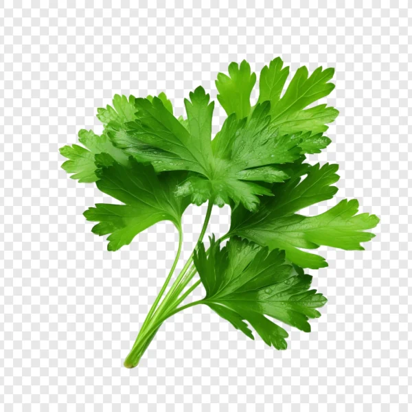 Parsely-leaves-fresh-organic