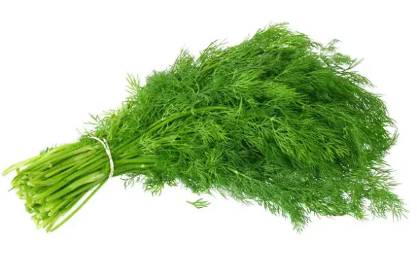 Dill-seeds-buy-online