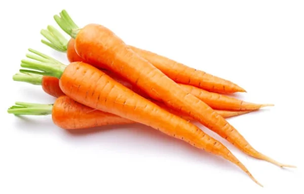 carrots-from-seeds-by-khaadpk-pakistan