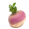 Turnip-root-vegetable-fresh-produce