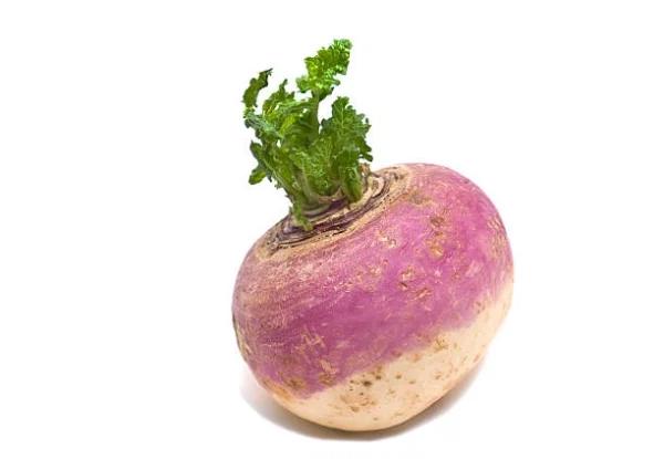 Turnip-root-vegetable-fresh-produce