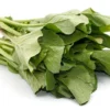 leafy-mustard-greens-premium-seeds-buy-online-lahore
