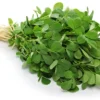 Leafy-fenugreek-vegetable-for-home-gardening