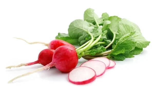 Red-radish-for-salad-home-gardening