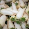 buy-radish-seeds-online-by-khaadpk