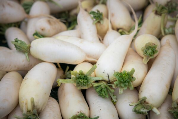 buy-radish-seeds-online-by-khaadpk