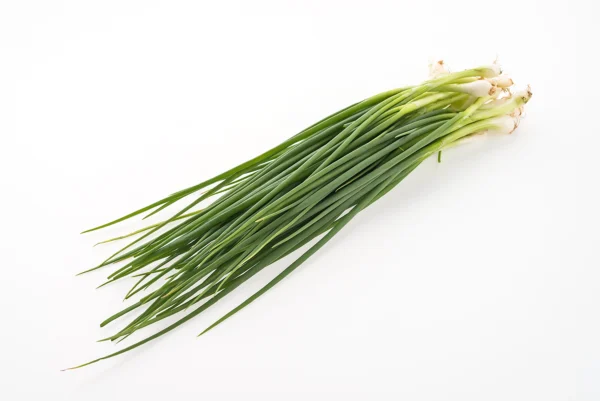 Fresh-beautiful-chive-plant-for-home-gardens