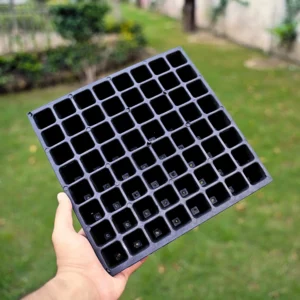 64 Holes Seedling Tray